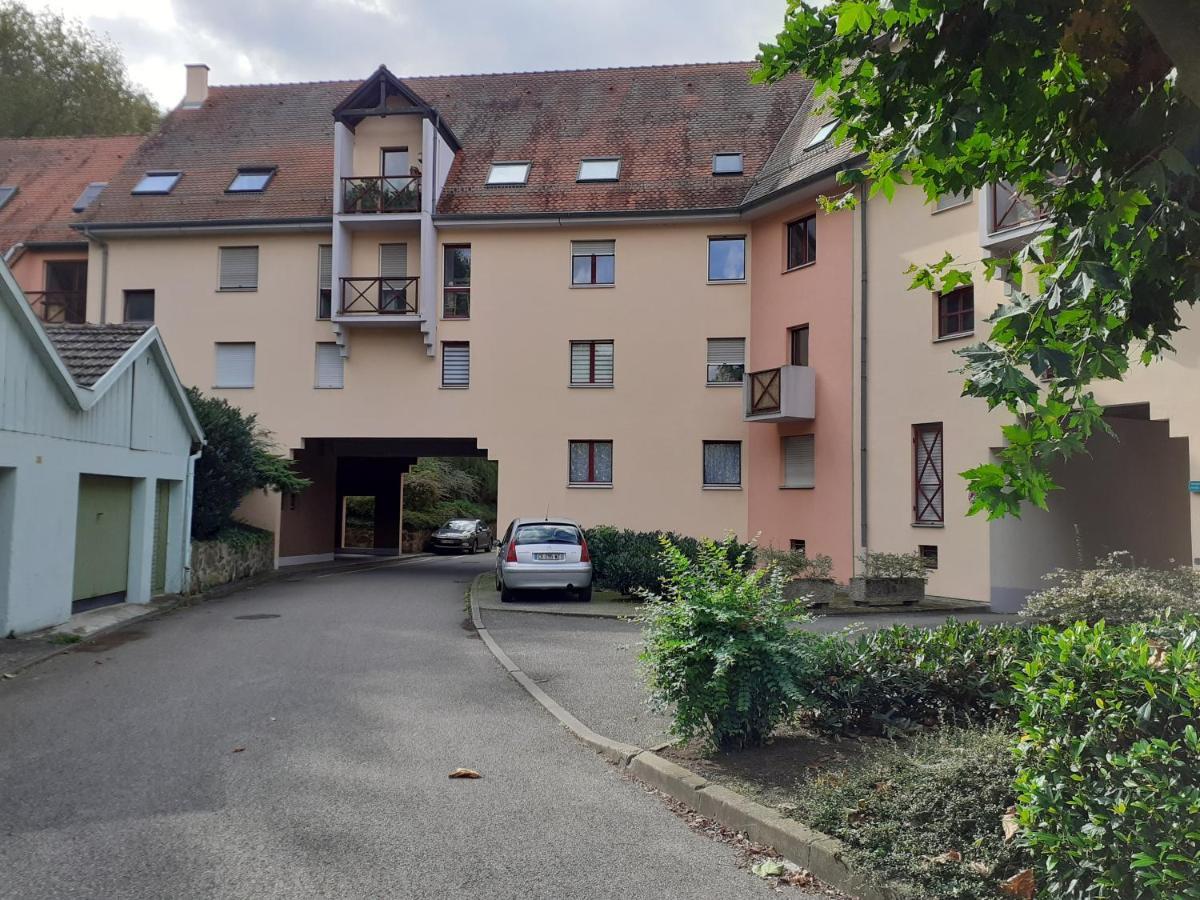 Résidence le château Kaysersberg Esterno foto